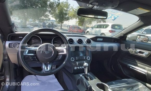Buy Import Ford Mustang Other Car in Import - Dubai in Region of Bouenza Buy Import Ford Mustang Other Car in Import - Dubai in Region of Bouenza