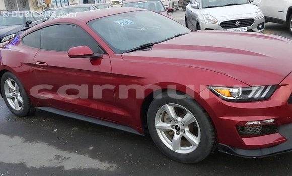Buy Import Ford Mustang Red Car in Import - Dubai in Region of Bouenza Buy Import Ford Mustang Red Car in Import - Dubai in Region of Bouenza