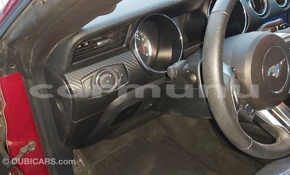 Buy Import Ford Mustang Red Car in Import - Dubai in Region of Bouenza Buy Import Ford Mustang Red Car in Import - Dubai in Region of Bouenza