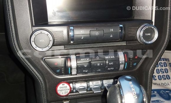 Buy Import Ford Mustang Red Car in Import - Dubai in Region of Bouenza Buy Import Ford Mustang Red Car in Import - Dubai in Region of Bouenza