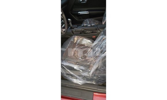 Buy Import Ford Mustang Red Car in Import - Dubai in Region of Bouenza Buy Import Ford Mustang Red Car in Import - Dubai in Region of Bouenza