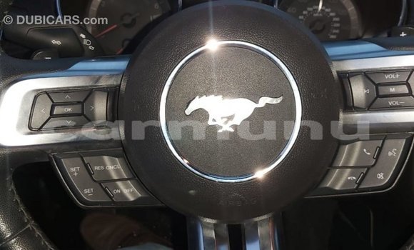 Buy Import Ford Mustang Red Car in Import - Dubai in Region of Bouenza Buy Import Ford Mustang Red Car in Import - Dubai in Region of Bouenza