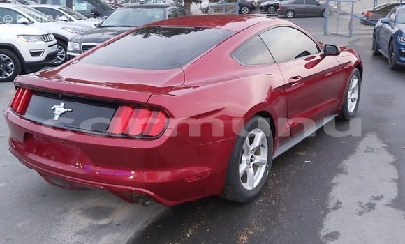 Buy Import Ford Mustang Red Car in Import - Dubai in Region of Bouenza Buy Import Ford Mustang Red Car in Import - Dubai in Region of Bouenza