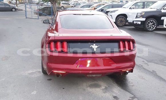 Buy Import Ford Mustang Red Car in Import - Dubai in Region of Bouenza Buy Import Ford Mustang Red Car in Import - Dubai in Region of Bouenza