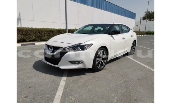 Buy Import Nissan Maxima White Car in Import - Dubai in Region of Bouenza Buy Import Nissan Maxima White Car in Import - Dubai in Region of Bouenza