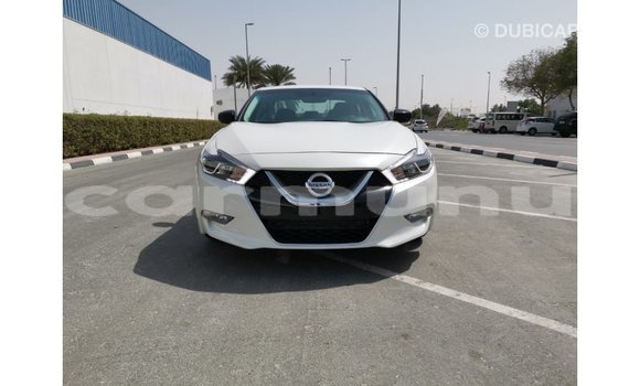 Buy Import Nissan Maxima White Car in Import - Dubai in Region of Bouenza Buy Import Nissan Maxima White Car in Import - Dubai in Region of Bouenza