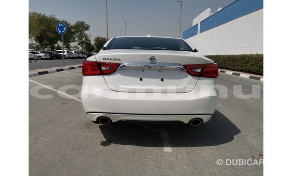 Buy Import Nissan Maxima White Car in Import - Dubai in Region of Bouenza Buy Import Nissan Maxima White Car in Import - Dubai in Region of Bouenza