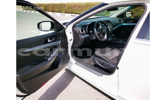 Buy Import Nissan Maxima White Car in Import - Dubai in Region of Bouenza Buy Import Nissan Maxima White Car in Import - Dubai in Region of Bouenza