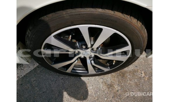 Buy Import Nissan Maxima White Car in Import - Dubai in Region of Bouenza Buy Import Nissan Maxima White Car in Import - Dubai in Region of Bouenza
