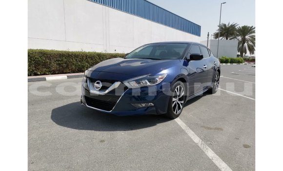 Buy Import Nissan Maxima Blue Car in Import - Dubai in Region of Bouenza Buy Import Nissan Maxima Blue Car in Import - Dubai in Region of Bouenza