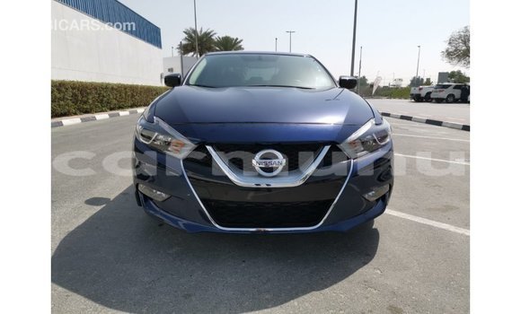 Buy Import Nissan Maxima Blue Car in Import - Dubai in Region of Bouenza Buy Import Nissan Maxima Blue Car in Import - Dubai in Region of Bouenza