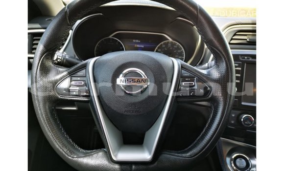 Buy Import Nissan Maxima Blue Car in Import - Dubai in Region of Bouenza Buy Import Nissan Maxima Blue Car in Import - Dubai in Region of Bouenza