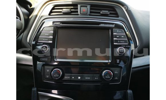 Buy Import Nissan Maxima Blue Car in Import - Dubai in Region of Bouenza Buy Import Nissan Maxima Blue Car in Import - Dubai in Region of Bouenza