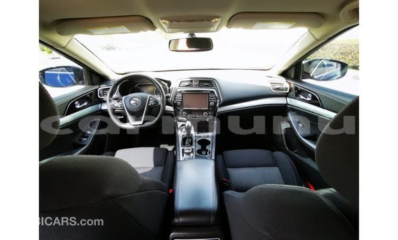 Buy Import Nissan Maxima Blue Car in Import - Dubai in Region of Bouenza Buy Import Nissan Maxima Blue Car in Import - Dubai in Region of Bouenza