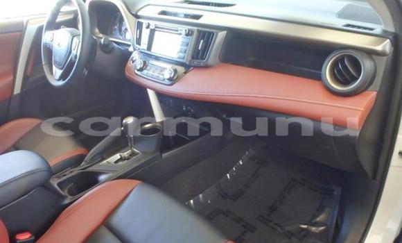 Buy Used Toyota RAV4 Green Car in Brazzaville in Municipality of Brazzaville Buy Used Toyota RAV4 Green Car in Brazzaville in Municipality of Brazzaville