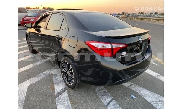Buy Import Toyota Corolla Black Car in Import - Dubai in Region of Bouenza Buy Import Toyota Corolla Black Car in Import - Dubai in Region of Bouenza
