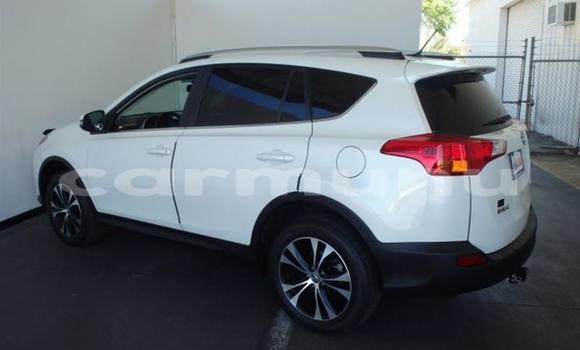 Buy Used Toyota RAV4 Green Car in Brazzaville in Municipality of Brazzaville Buy Used Toyota RAV4 Green Car in Brazzaville in Municipality of Brazzaville