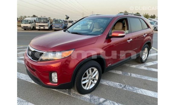 Buy Import Kia Sorento Red Car in Import - Dubai in Region of Bouenza Buy Import Kia Sorento Red Car in Import - Dubai in Region of Bouenza
