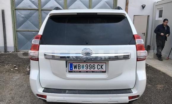 Buy Used Toyota Land Cruiser Green Car in Brazzaville in Municipality of Brazzaville Buy Used Toyota Land Cruiser Green Car in Brazzaville in Municipality of Brazzaville