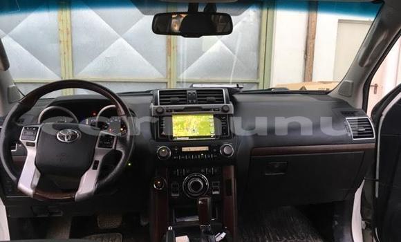 Buy Used Toyota Land Cruiser Green Car in Brazzaville in Municipality of Brazzaville Buy Used Toyota Land Cruiser Green Car in Brazzaville in Municipality of Brazzaville