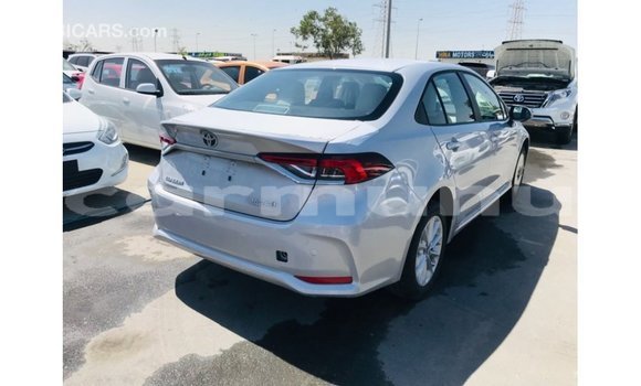 Acheter Import Voiture Toyota Corolla Blanc à Import - Dubai, Région de la Bouenza Acheter Import Voiture Toyota Corolla Blanc à Import - Dubai, Région de la Bouenza
