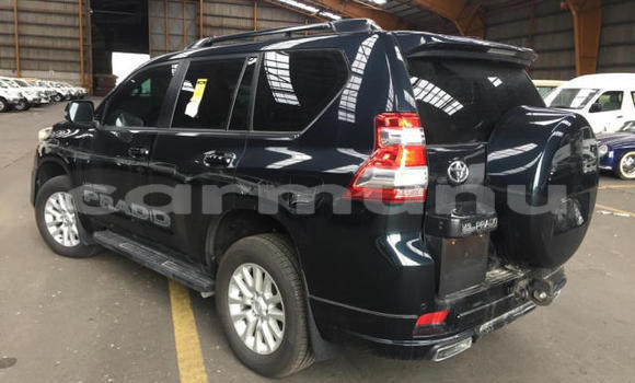 Buy Used Toyota Land Cruiser Prado Beige Car in Brazzaville in Municipality of Brazzaville Buy Used Toyota Land Cruiser Prado Beige Car in Brazzaville in Municipality of Brazzaville