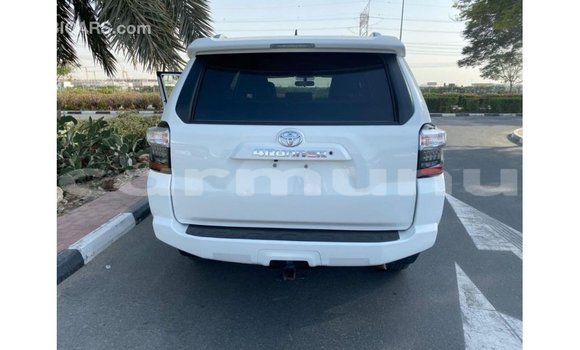 Buy Import Toyota HiAce White Truck in Import - Dubai in Region of Bouenza Buy Import Toyota HiAce White Truck in Import - Dubai in Region of Bouenza