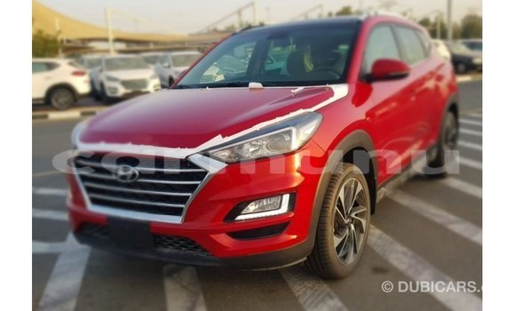 Acheter Import Voiture Hyundai Tucson Rouge à Import - Dubai, Région de la Bouenza Acheter Import Voiture Hyundai Tucson Rouge à Import - Dubai, Région de la Bouenza