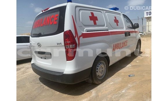 Buy Import Hyundai Chorus White Truck in Import - Dubai in Region of Bouenza Buy Import Hyundai Chorus White Truck in Import - Dubai in Region of Bouenza