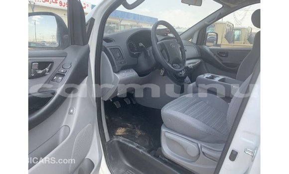 Buy Import Hyundai Chorus White Truck in Import - Dubai in Region of Bouenza Buy Import Hyundai Chorus White Truck in Import - Dubai in Region of Bouenza