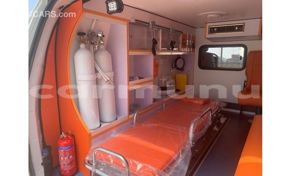 Buy Import Hyundai Chorus White Truck in Import - Dubai in Region of Bouenza Buy Import Hyundai Chorus White Truck in Import - Dubai in Region of Bouenza