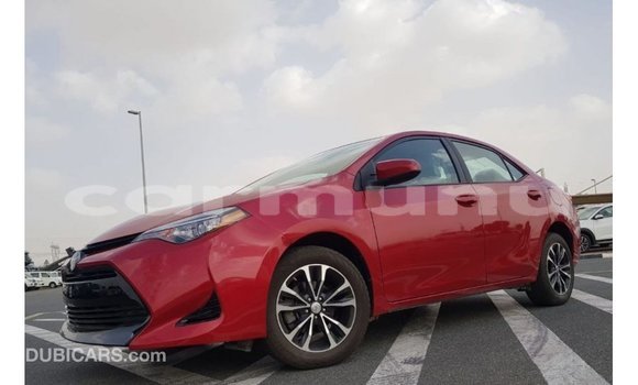 Buy Import Toyota Corolla Red Car in Import - Dubai in Region of Bouenza Buy Import Toyota Corolla Red Car in Import - Dubai in Region of Bouenza
