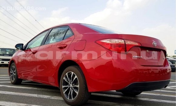 Buy Import Toyota Corolla Red Car in Import - Dubai in Region of Bouenza Buy Import Toyota Corolla Red Car in Import - Dubai in Region of Bouenza