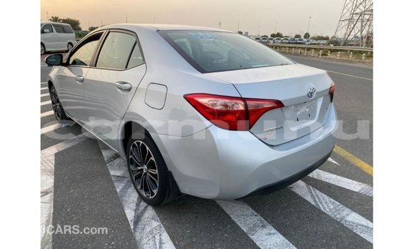 Buy Import Toyota Corolla Other Car in Import - Dubai in Region of Bouenza Buy Import Toyota Corolla Other Car in Import - Dubai in Region of Bouenza