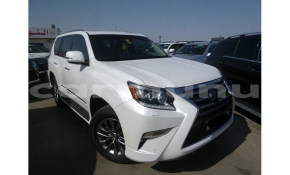Buy Import Lexus GX White Car in Import - Dubai in Region of Bouenza Buy Import Lexus GX White Car in Import - Dubai in Region of Bouenza