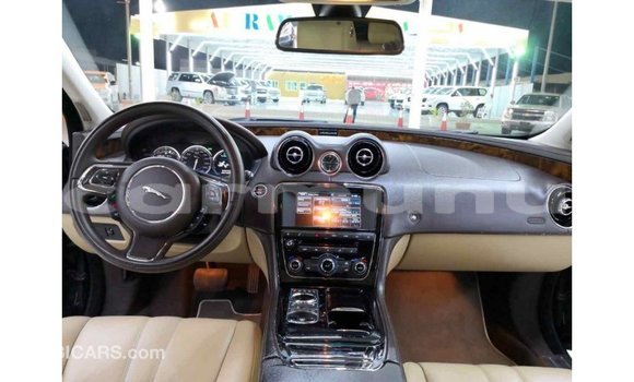 Buy Import Jaguar XJ Black Car in Import - Dubai in Region of Bouenza Buy Import Jaguar XJ Black Car in Import - Dubai in Region of Bouenza
