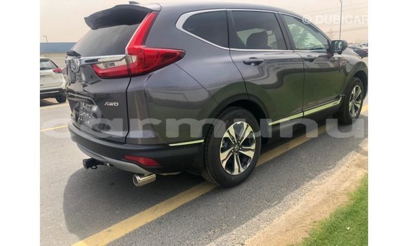 Buy Import Honda C Other Bike in Import - Dubai in Region of Bouenza Buy Import Honda C Other Bike in Import - Dubai in Region of Bouenza