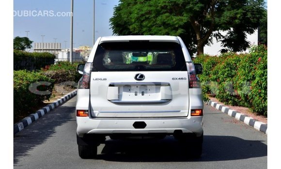 Acheter Import Voiture Lexus GX Blanc à Import - Dubai, Région de la Bouenza Acheter Import Voiture Lexus GX Blanc à Import - Dubai, Région de la Bouenza