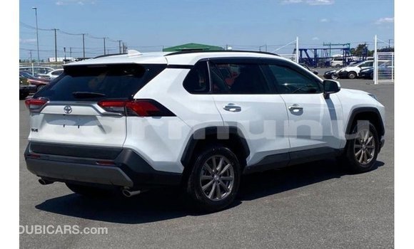 Buy Import Toyota HiAce White Truck in Import - Dubai in Region of Bouenza Buy Import Toyota HiAce White Truck in Import - Dubai in Region of Bouenza