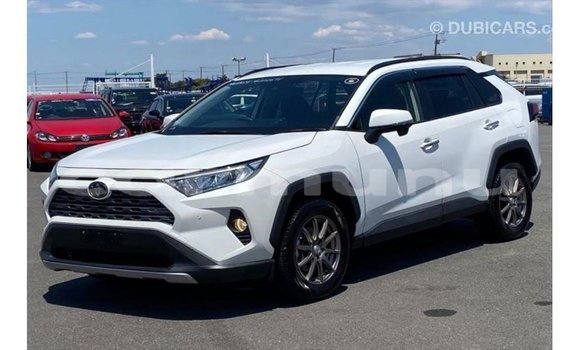 Buy Import Toyota HiAce White Truck in Import - Dubai in Region of Bouenza Buy Import Toyota HiAce White Truck in Import - Dubai in Region of Bouenza