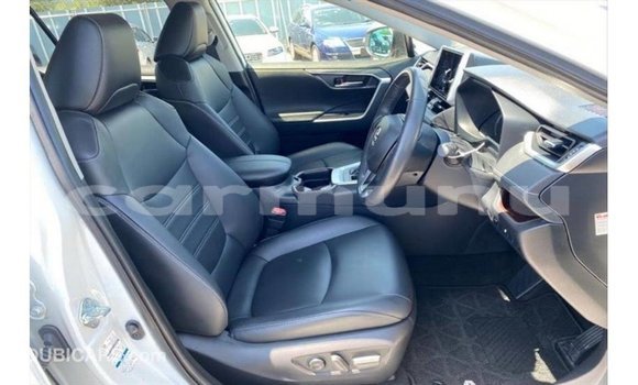 Buy Import Toyota HiAce White Truck in Import - Dubai in Region of Bouenza Buy Import Toyota HiAce White Truck in Import - Dubai in Region of Bouenza