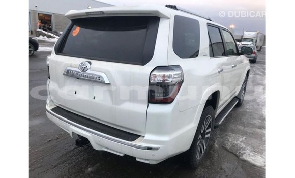 Buy Import Toyota HiAce White Truck in Import - Dubai in Region of Bouenza Buy Import Toyota HiAce White Truck in Import - Dubai in Region of Bouenza