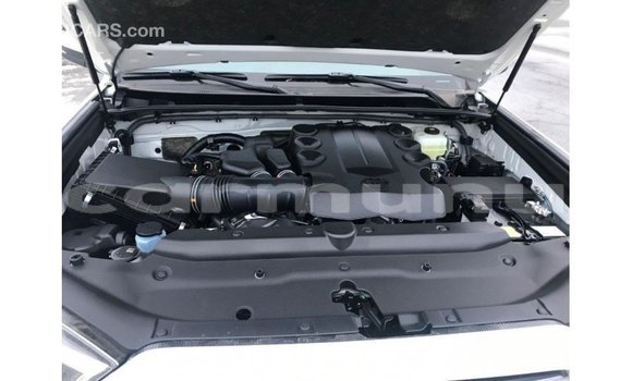 Buy Import Toyota HiAce White Truck in Import - Dubai in Region of Bouenza Buy Import Toyota HiAce White Truck in Import - Dubai in Region of Bouenza