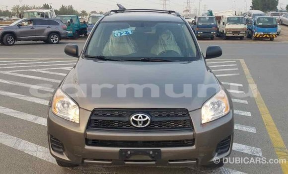 Buy Import Toyota HiAce Brown Truck in Import - Dubai in Region of Bouenza Buy Import Toyota HiAce Brown Truck in Import - Dubai in Region of Bouenza