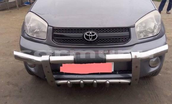 Buy Used Toyota RAV4 Other Car in Brazzaville in Municipality of Brazzaville Buy Used Toyota RAV4 Other Car in Brazzaville in Municipality of Brazzaville