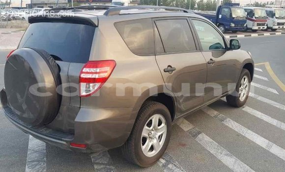 Buy Import Toyota HiAce Brown Truck in Import - Dubai in Region of Bouenza Buy Import Toyota HiAce Brown Truck in Import - Dubai in Region of Bouenza