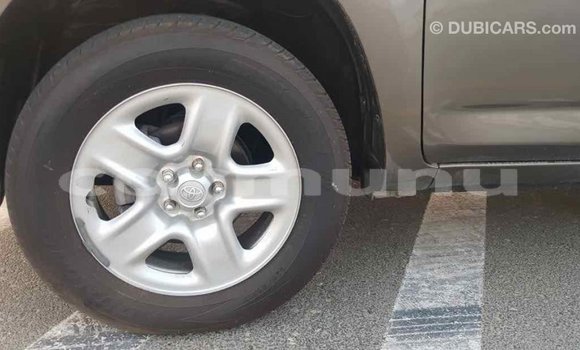 Buy Import Toyota HiAce Brown Truck in Import - Dubai in Region of Bouenza Buy Import Toyota HiAce Brown Truck in Import - Dubai in Region of Bouenza