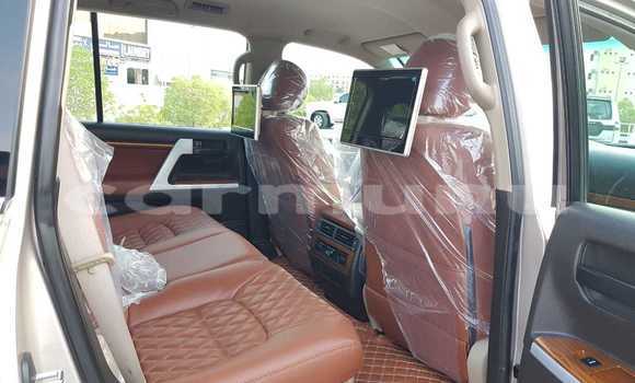 Acheter Occasion Voiture Toyota Land Cruiser Autre à Gamboma, Plateaux Acheter Occasion Voiture Toyota Land Cruiser Autre à Gamboma, Plateaux