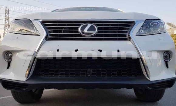 Buy Import Lexus RX 350 White Car in Import - Dubai in Region of Bouenza Buy Import Lexus RX 350 White Car in Import - Dubai in Region of Bouenza