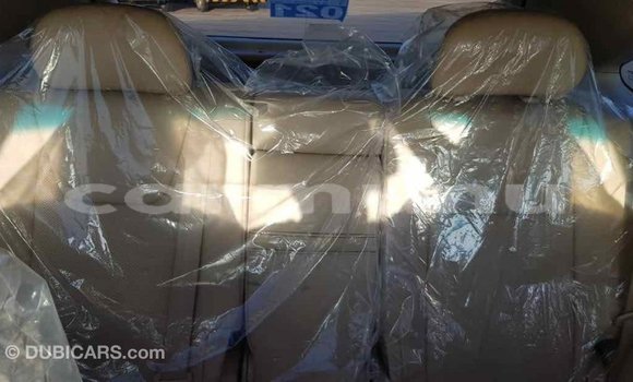 Buy Import Lexus RX 350 White Car in Import - Dubai in Region of Bouenza Buy Import Lexus RX 350 White Car in Import - Dubai in Region of Bouenza